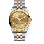 Tudor Black Bay S&G 79603 - (1/1)