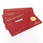 Omega Seamaster Diver 300 M 210.32.42.20.06.001 (2023) - Grijs wijzerplaat 42mm Staal (5/6)