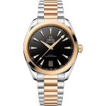 Omega Seamaster Aqua Terra 220.20.41.21.01.001 - (1/1)