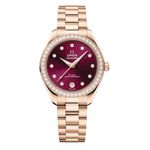 Omega Seamaster Aqua Terra 220.55.30.20.61.001 - (1/1)