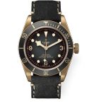 Tudor Black Bay Bronze 79250BA (2026) - Grey dial 43 mm Bronze case (1/1)