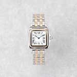 Cartier Panthère WSPN0015 (2025) - Silver dial 27 mm Steel case (1/8)