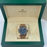 Rolex Sky-Dweller 336935 (2024) - Blauw wijzerplaat 42mm Roségoud (4/8)