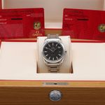 Omega Seamaster Aqua Terra 231.10.39.60.06.001 (2010) - Grey dial 39 mm Steel case (3/8)