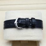 Cartier Santos Dumont WSSA0023 - (12/16)