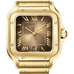 Cartier Santos WGSA0095 (2026) - Goud wijzerplaat 40mm Geelgoud (1/1)