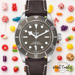 Tudor Black Bay Fifty-Eight 79010SG - (1/8)