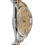 Rolex Datejust 36 16013 - (6/8)