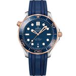Omega Seamaster Diver 300 M 210.22.42.20.03.002 - (1/1)