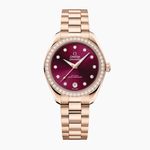 Omega Seamaster Aqua Terra 220.55.30.20.61.001 - (1/1)