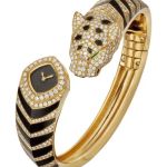 Unknown Unknown HPI01747 (2026) - (1/1)