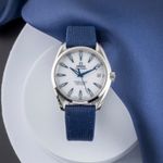 Omega Seamaster Aqua Terra 231.92.39.21.04.001 (2009) - Wit wijzerplaat 39mm Titanium (1/8)