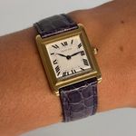 Piaget Unknown unknown - (5/8)