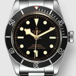 Tudor Black Bay