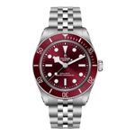 Tudor Black Bay 7939A1A0RU - (17/18)
