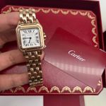 Cartier Panthère WGPN0007 - (10/10)