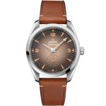 Omega Seamaster Railmaster 235.12.38.20.13.001 - (1/1)