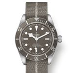 Tudor Black Bay Fifty-Eight 79010SG-0002 (2024) - Grey dial 39 mm Silver case (1/1)