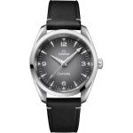 Omega Seamaster Railmaster 235.12.38.20.06.001 - (1/1)