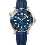 Omega Seamaster Diver 300 M 210.22.42.20.03.001 - (1/1)