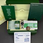 Rolex Lady-Datejust 179384 - (3/8)