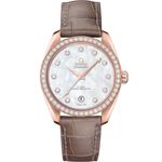 Omega Seamaster Aqua Terra 220.58.38.20.55.001 - (1/1)