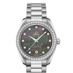 Omega Seamaster Aqua Terra 220.15.38.20.57.001 - (1/1)