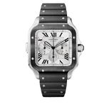 Cartier Santos WSSA0017 - (1/8)
