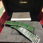 Cartier Santos WSSA0062 (2025) - Groen wijzerplaat 40mm Staal (6/6)