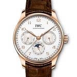IWC Portuguese Perpetual Calendar IW344202 - (1/1)
