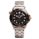Omega Seamaster Diver 300 M 210.20.42.20.01.001 - (1/4)