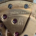 Omega Genève 166.038 (1969) - Black dial 35 mm Steel case (4/8)