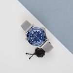 Omega Seamaster Diver 300 M 210.30.42.20.03.002 - (2/8)