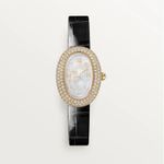 Cartier Unknown WJBA0043 (2025) - Onbekend Geelgoud (1/1)