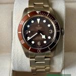 Tudor Black Bay Bronze 79012M (2025) - Bruin wijzerplaat 39mm Brons (2/7)