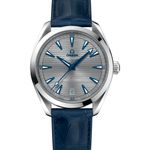 Omega Seamaster Aqua Terra 220.13.41.21.06.001 (2023) - Grey dial 41 mm Steel case (1/8)