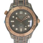 Omega Seamaster Diver 300 M 210.60.42.20.99.001 (2020) - Grijs wijzerplaat 42mm Titanium (1/5)