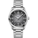 Omega Seamaster Railmaster 235.10.38.20.06.001 - (1/1)
