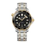 Omega Seamaster Diver 300 M 210.20.42.20.01.002 (2026) - Black dial 42 mm Steel case (1/1)