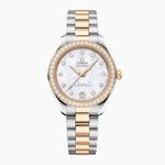 Omega Seamaster Aqua Terra 220.25.30.20.55.001 - (1/1)