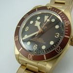 Tudor Black Bay - (2022) - Brown dial 39 mm Bronze case (5/8)
