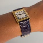 Piaget Unknown unknown - (7/8)