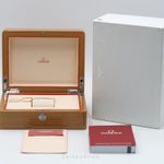 Omega Seamaster Aqua Terra 220.10.41.21.02.004 - (7/8)