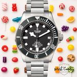 Tudor Pelagos 25600TN - (1/7)