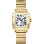 Cartier Santos Dumont WGSA0107 (2026) - Zilver wijzerplaat 34mm Geelgoud (1/1)