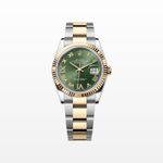Rolex Datejust 36 126233 (2024) - Unknown dial 36 mm Gold/Steel case (1/1)