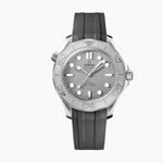 Omega Seamaster Diver 300 M 210.32.42.20.06.002 (2025) - Grey dial 42 mm Steel case (1/4)