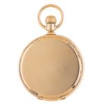 Unknown Unknown Unknown (1918) - (6/8)