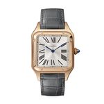 Cartier Santos Dumont WGSA0021 - (1/1)