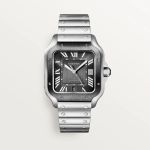 Cartier Santos WSSA0037 (2023) - Grey dial 40 mm Steel case (1/5)